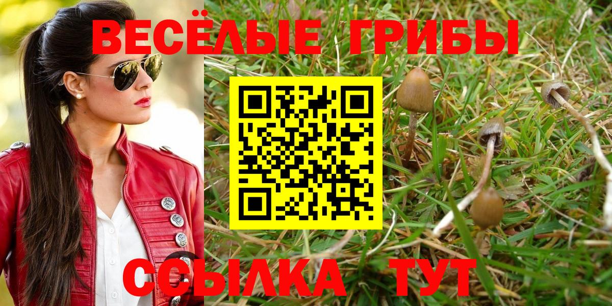 Галлюциногенные грибы Psilocybine cubensis  Галлюциногенные грибы MAGIC MUSHROOMS  даркнет сайт  Вход с VPN  Реж 